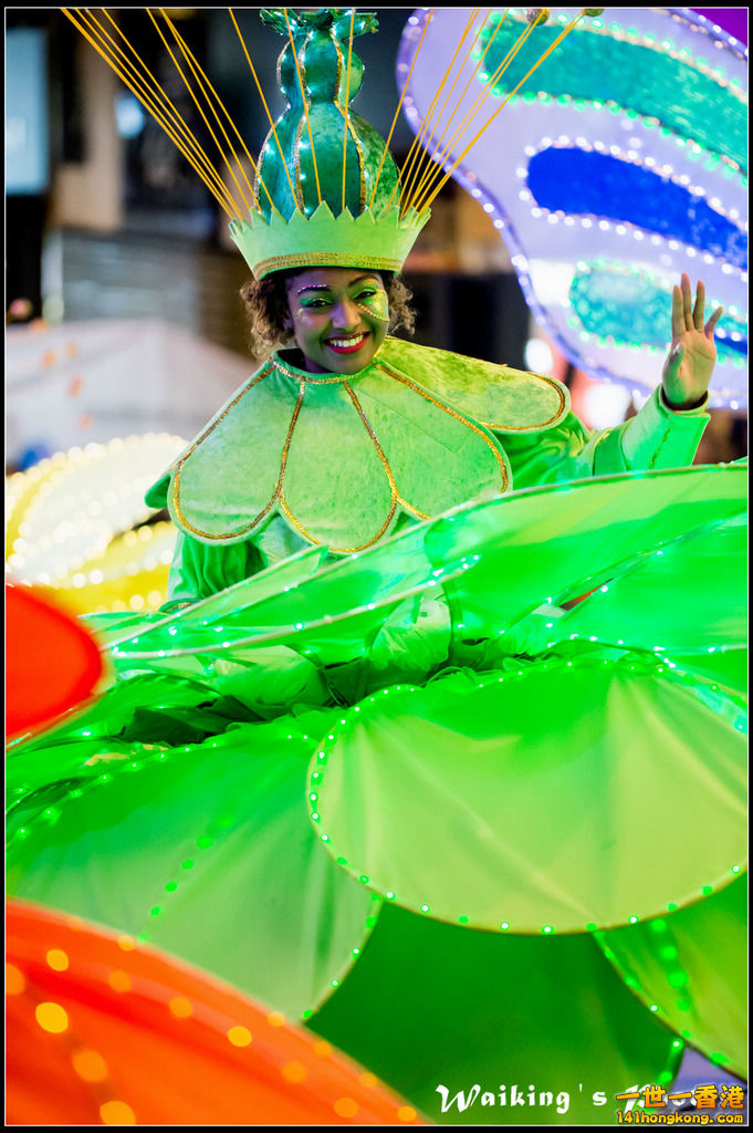 2017-01-28 Night Parade 0665.jpg