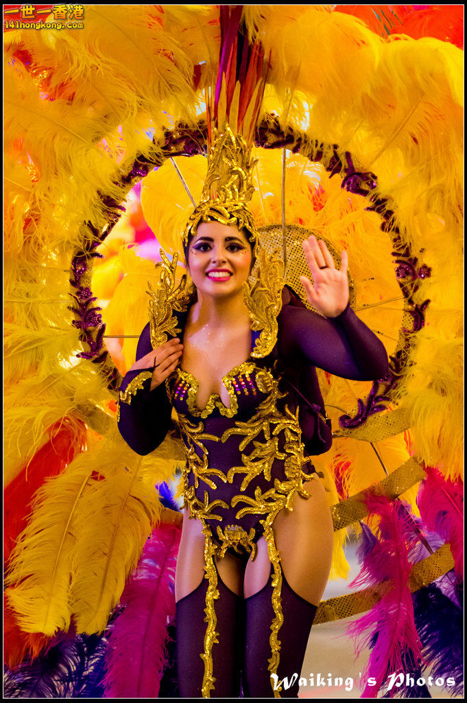 2017-01-28 Night Parade 0778.jpg