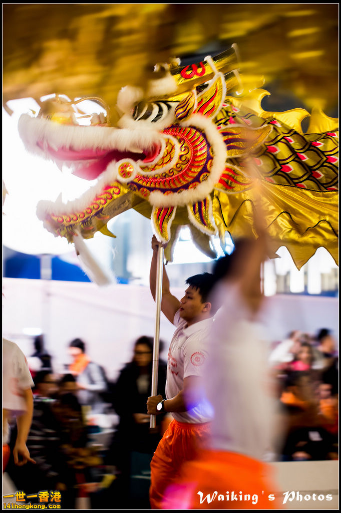 2017-01-28 Night Parade 0813.jpg
