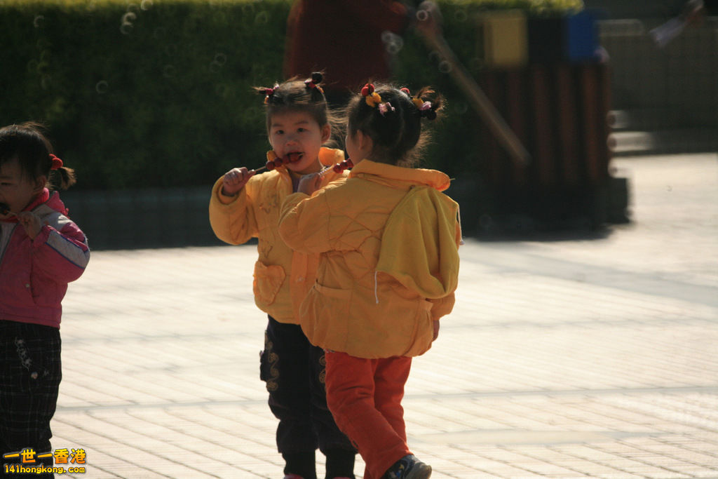 1-IMG_0330.jpg