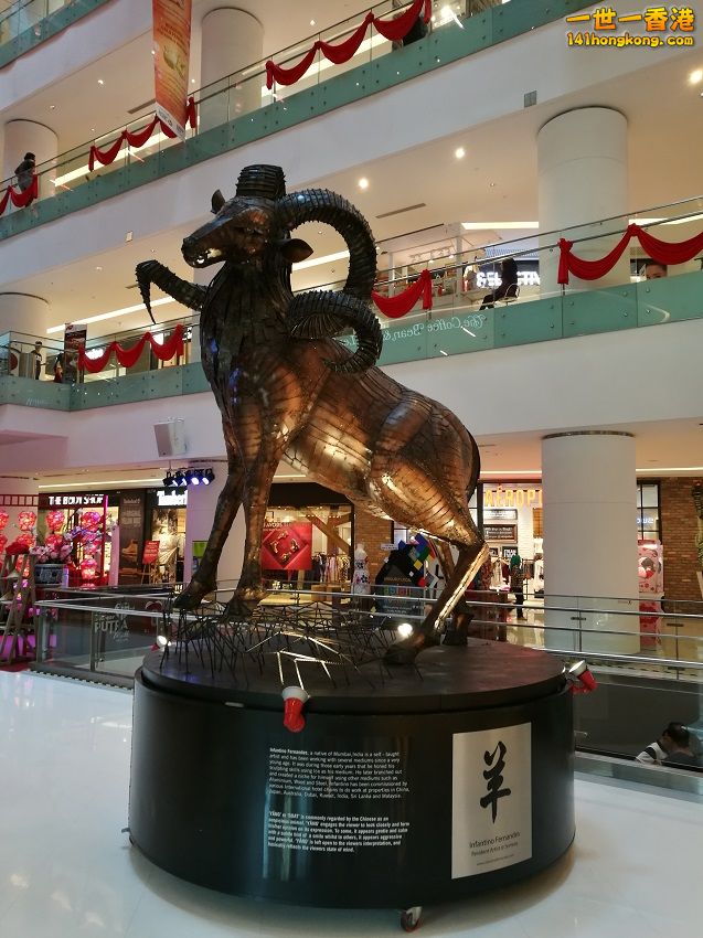 850.jpg