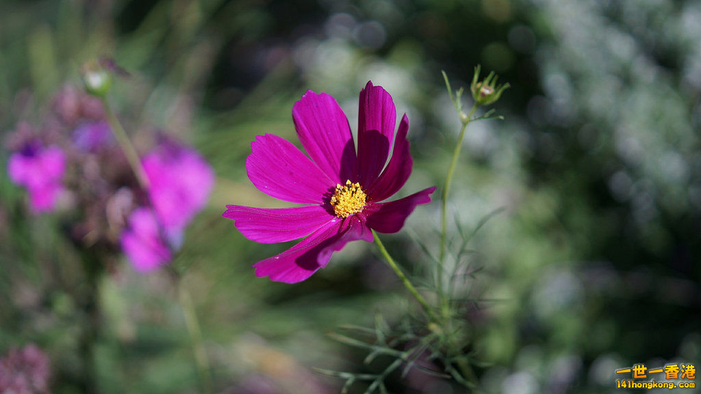 DSC05672_副本.jpg