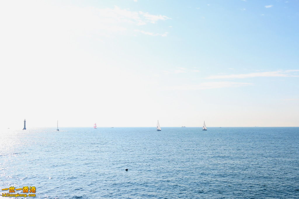 IMG_1471.1.jpg