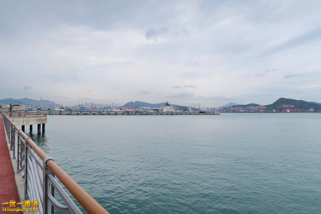 IMG_1346.1.jpg