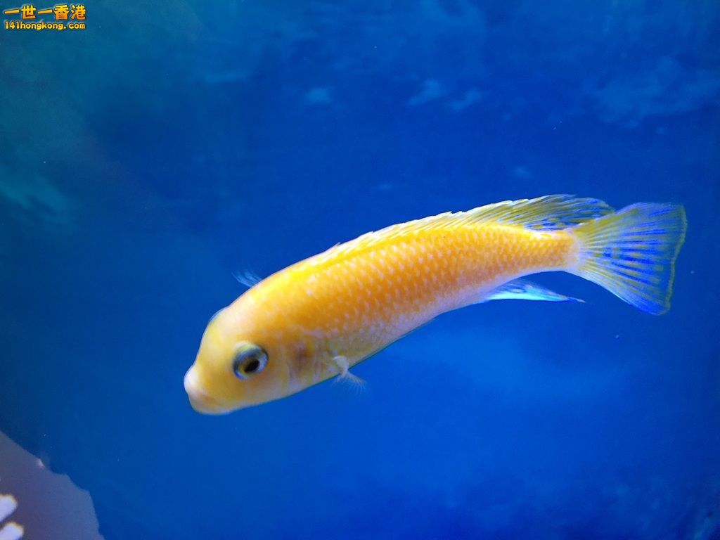 IMG_4417.jpg