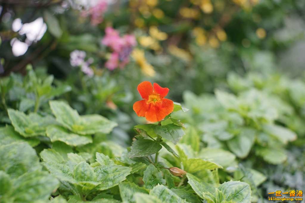 DSC00006.jpg