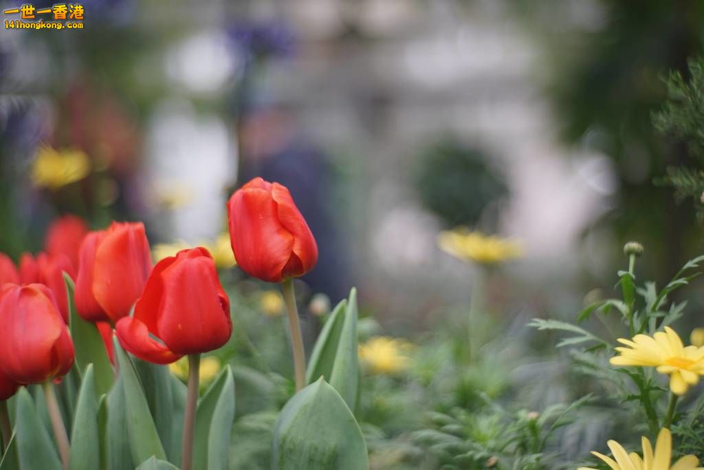 DSC00023.jpg