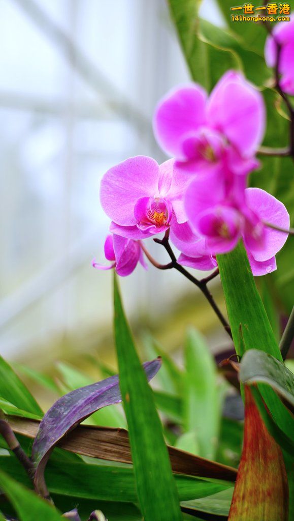 DSC00087.jpg