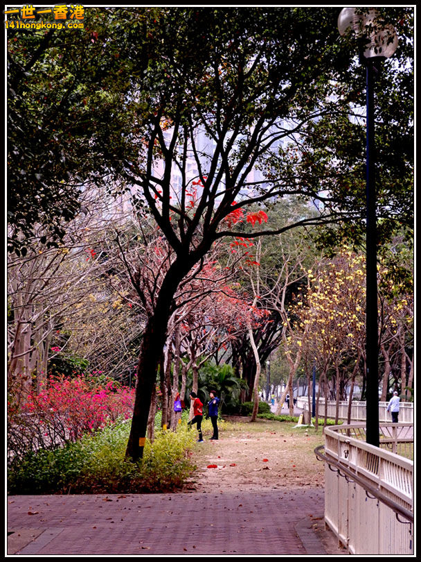 000DSCN0717.jpg