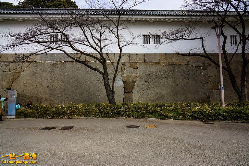 20160301-DSC09355.jpg