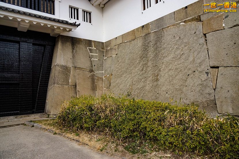20160301-DSC09356.jpg