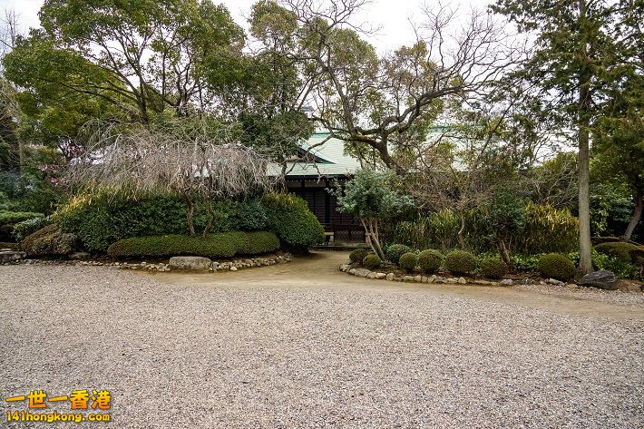 20160301-DSC09367.jpg