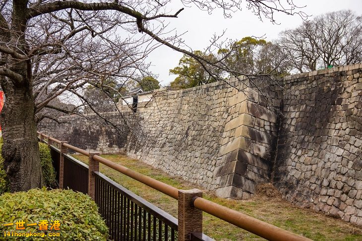 20160301-DSC09374.jpg