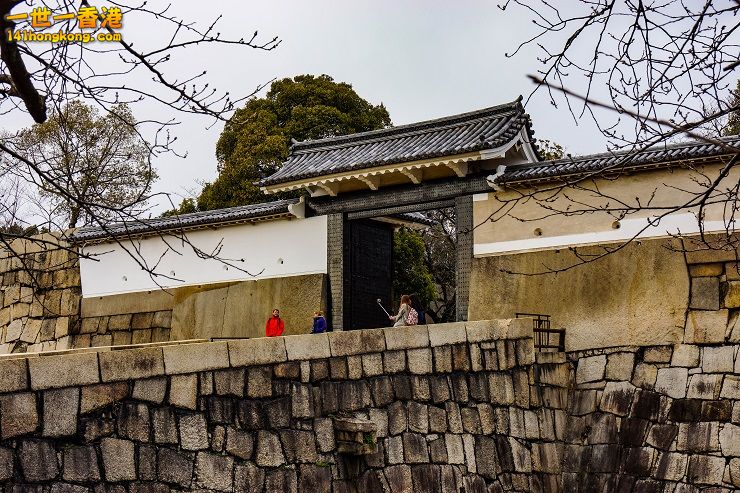 20160301-DSC09375.jpg