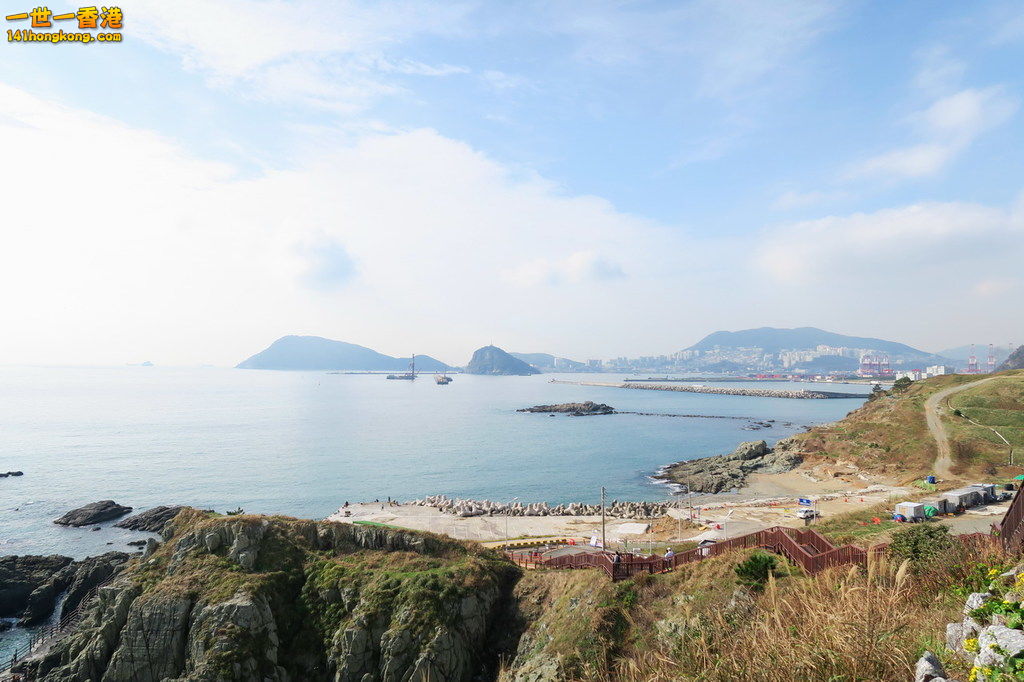 IMG_1486.1.jpg