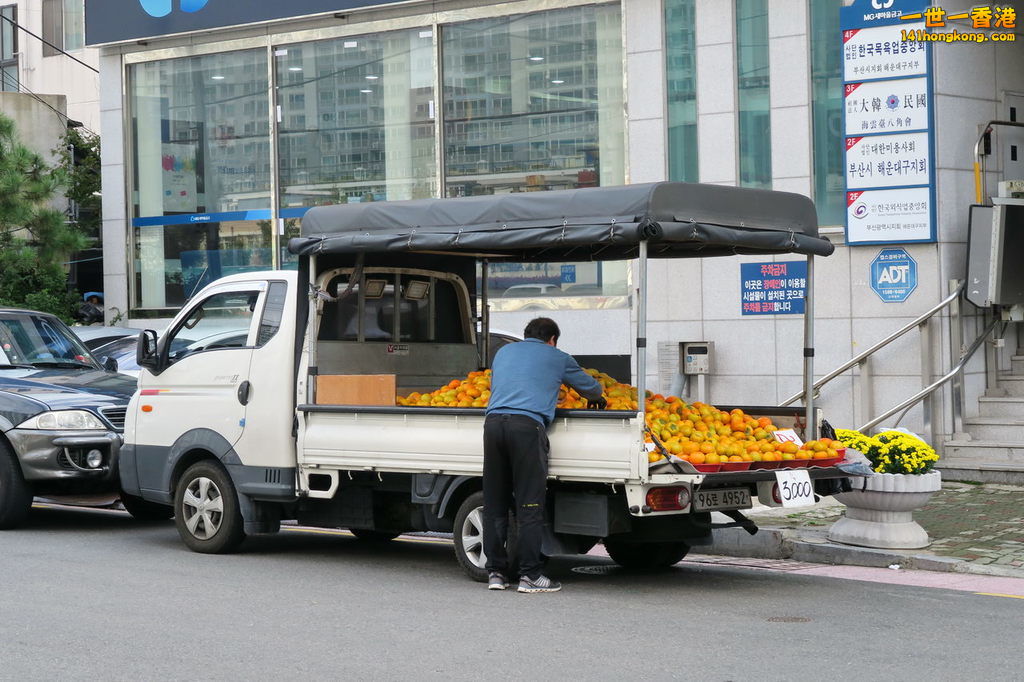 IMG_1505.1.jpg
