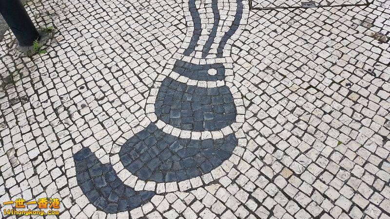 rps20170531_142957.jpg