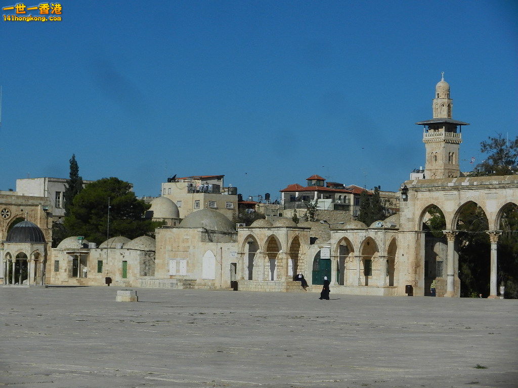 DSCN6449.JPG