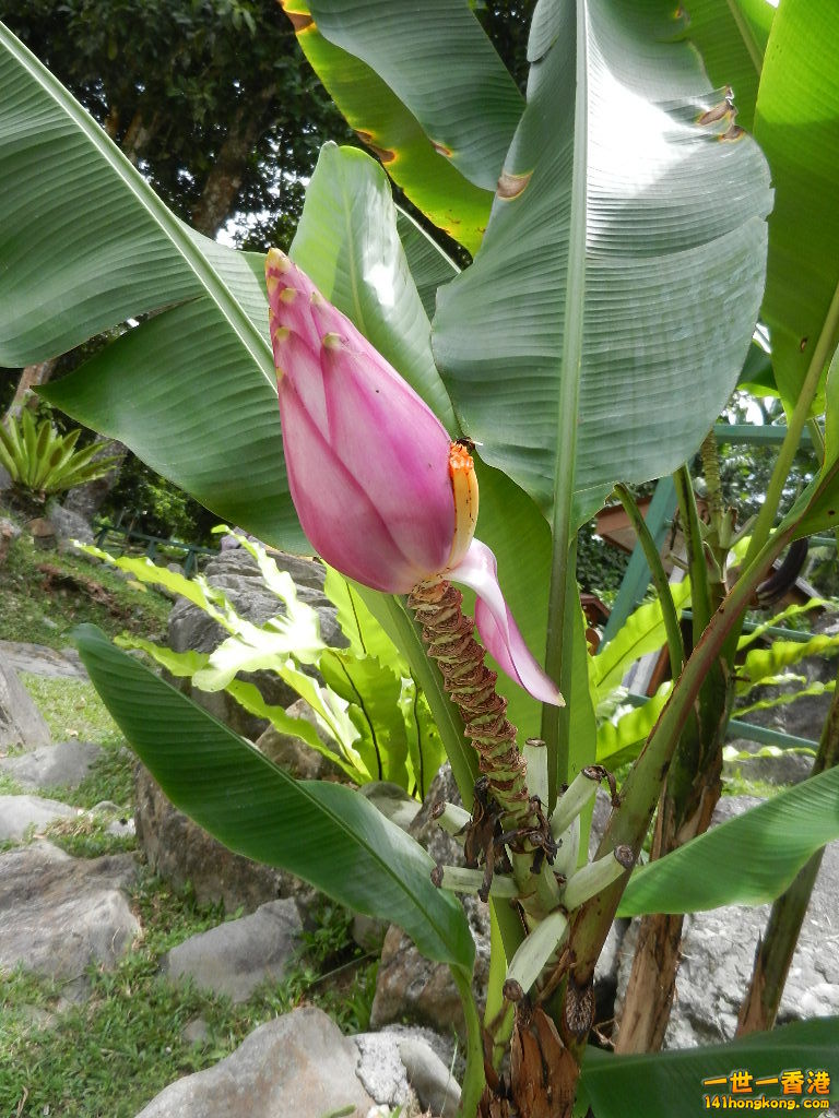 DSCN4322.JPG