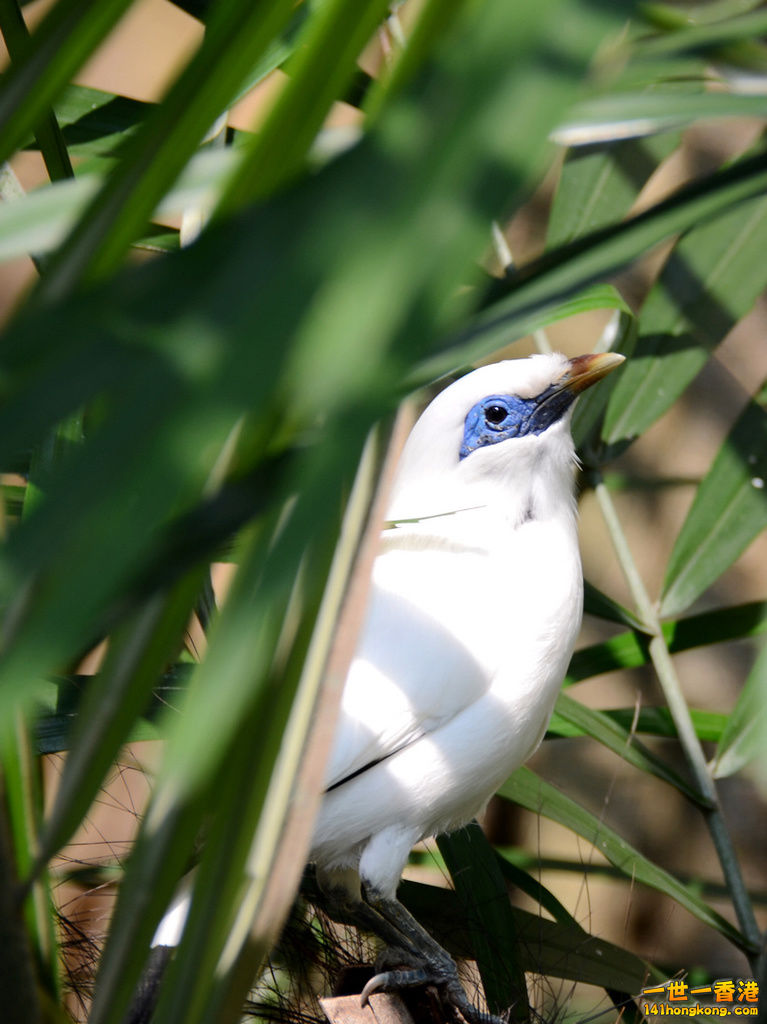 nEO_IMG_DSC_6901.jpg