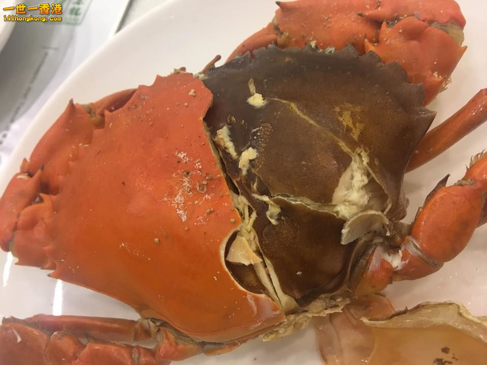 重皮奄仔蟹1.jpg