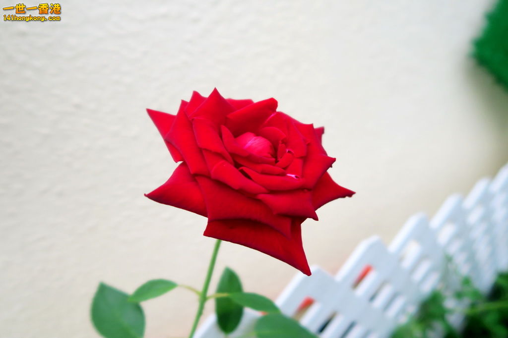 IMG_2094.1.jpg
