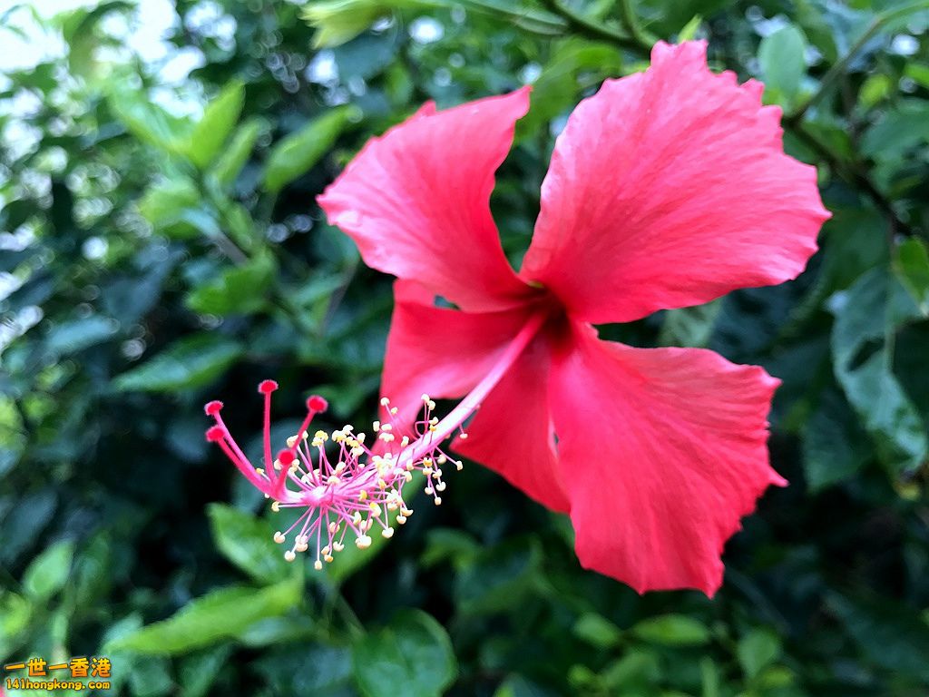 IMG_0324.JPG