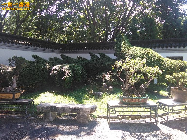 IMG_20160916_111505.jpg