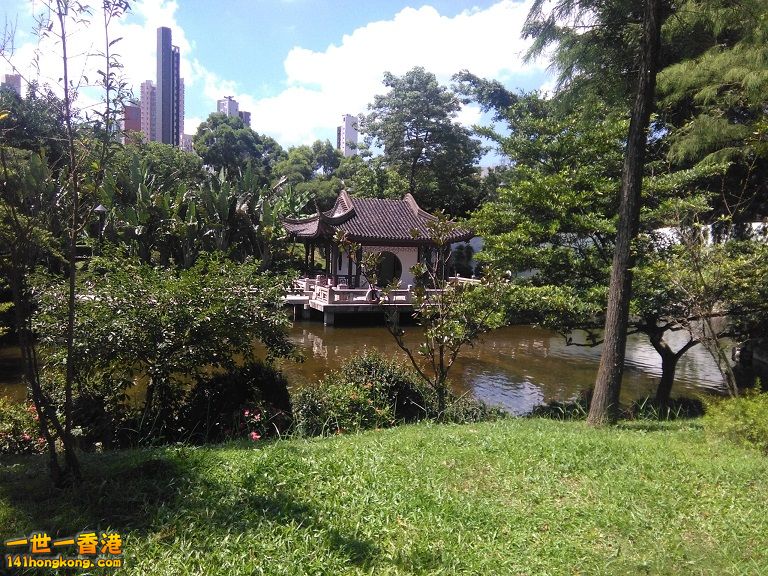 IMG_20160916_111637.jpg