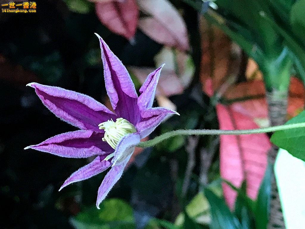 IMG_0472.JPG