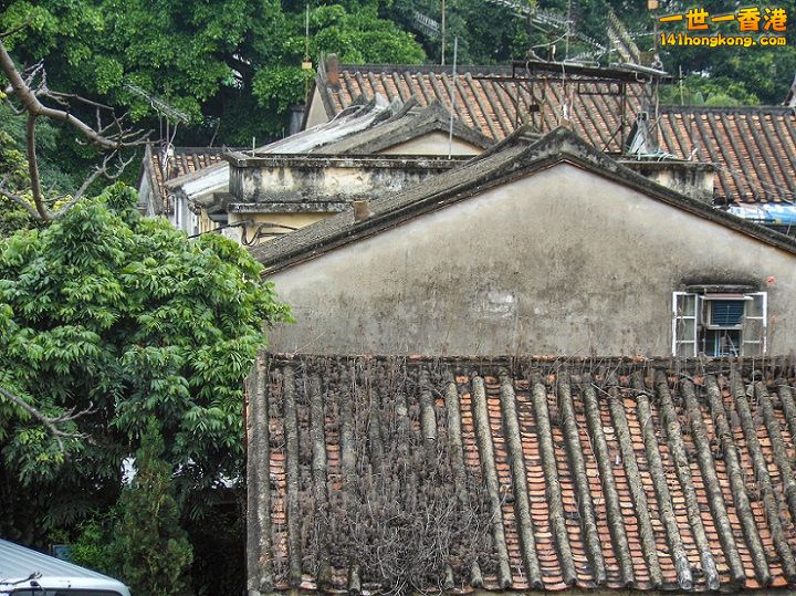 DSCN0644.jpg