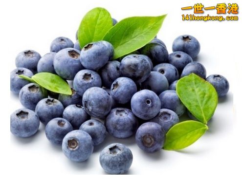 藍莓.jpg