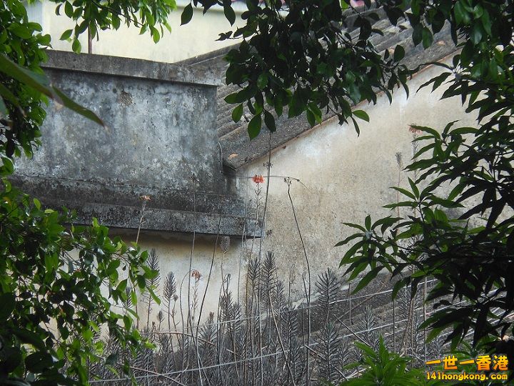 DSCN0660.JPG