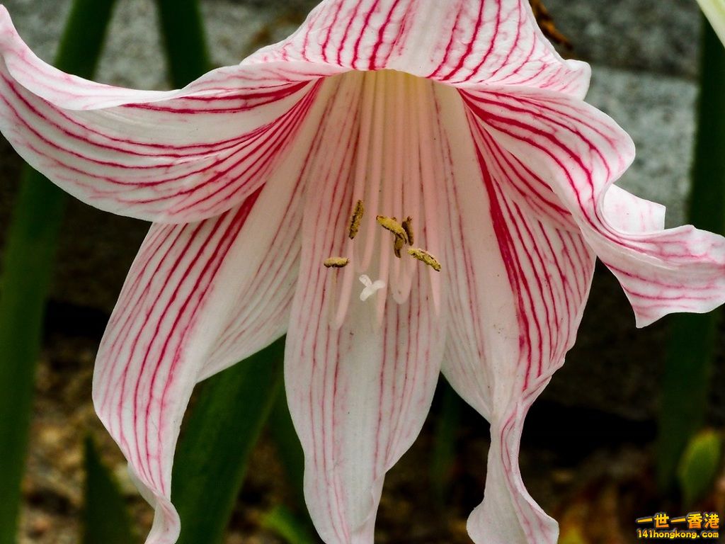 P9141851.jpg