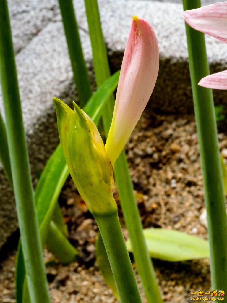 P9141857.jpg