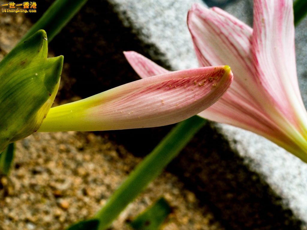 P9141856.jpg