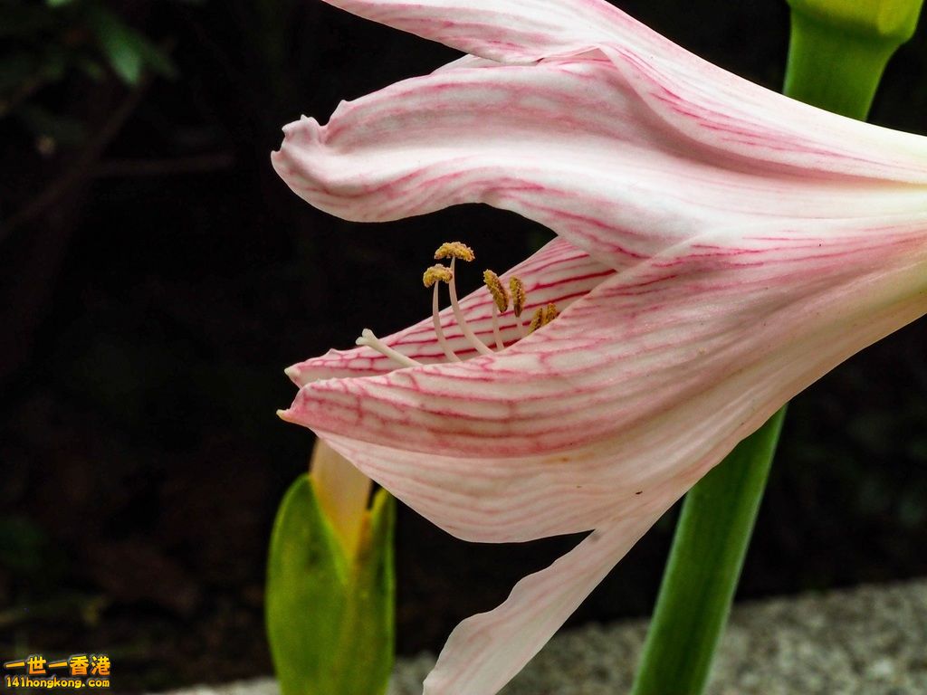 P9141853.jpg