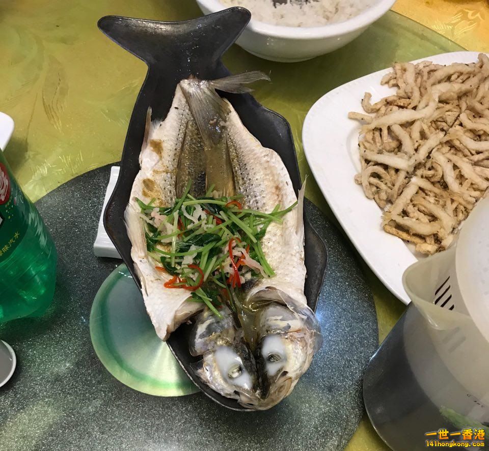 條魚幾好味
