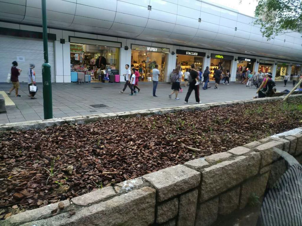 mmexport1507115096898.jpg