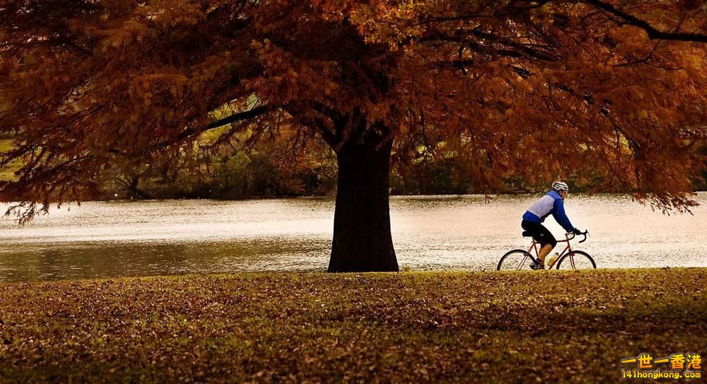 Fall-cycling.jpg