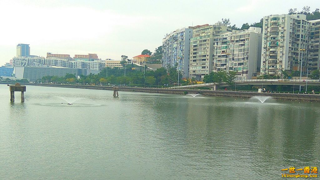 IMG_20171107_104435.jpg
