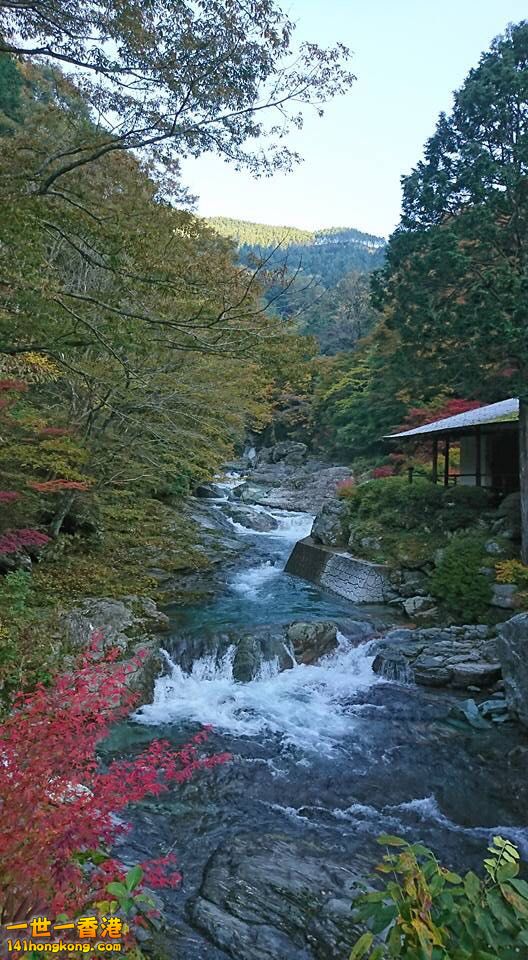 IMG-20171031-WA0001.jpg