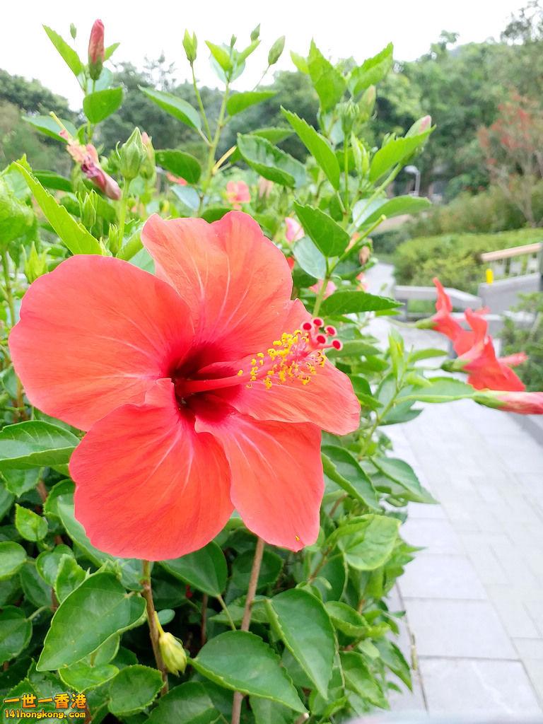 20171008_164938.jpg