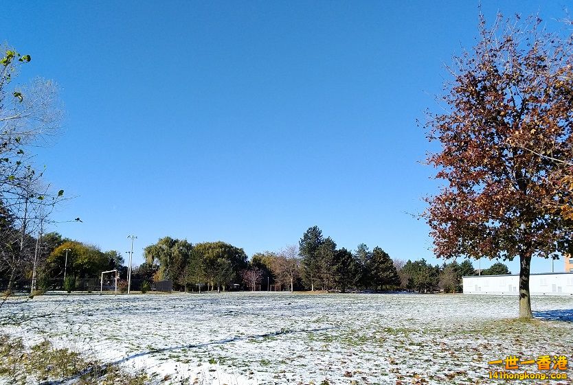 P_20171110_121630.jpg