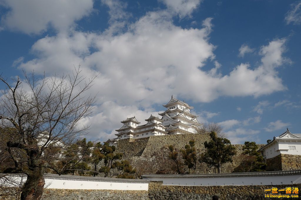 L1010306.JPG