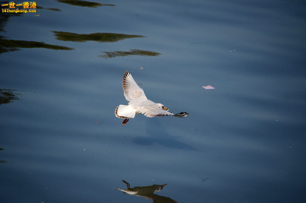 DSC_0401.jpg