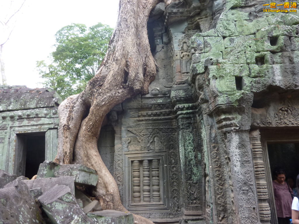P1080552.JPG