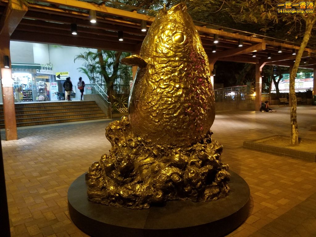 20180114_185650.jpg