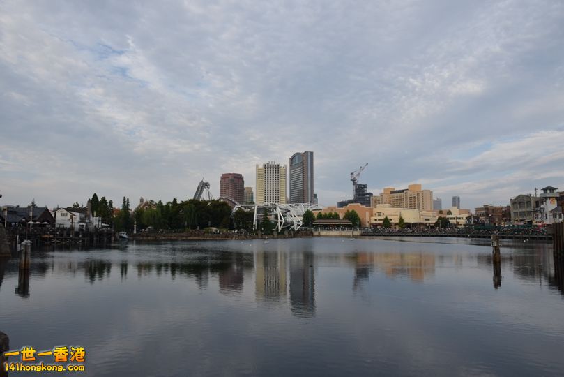 531.JPG