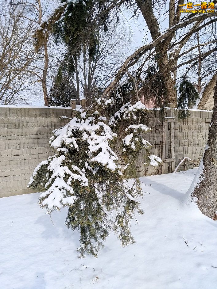 P_20180208_115618.jpg